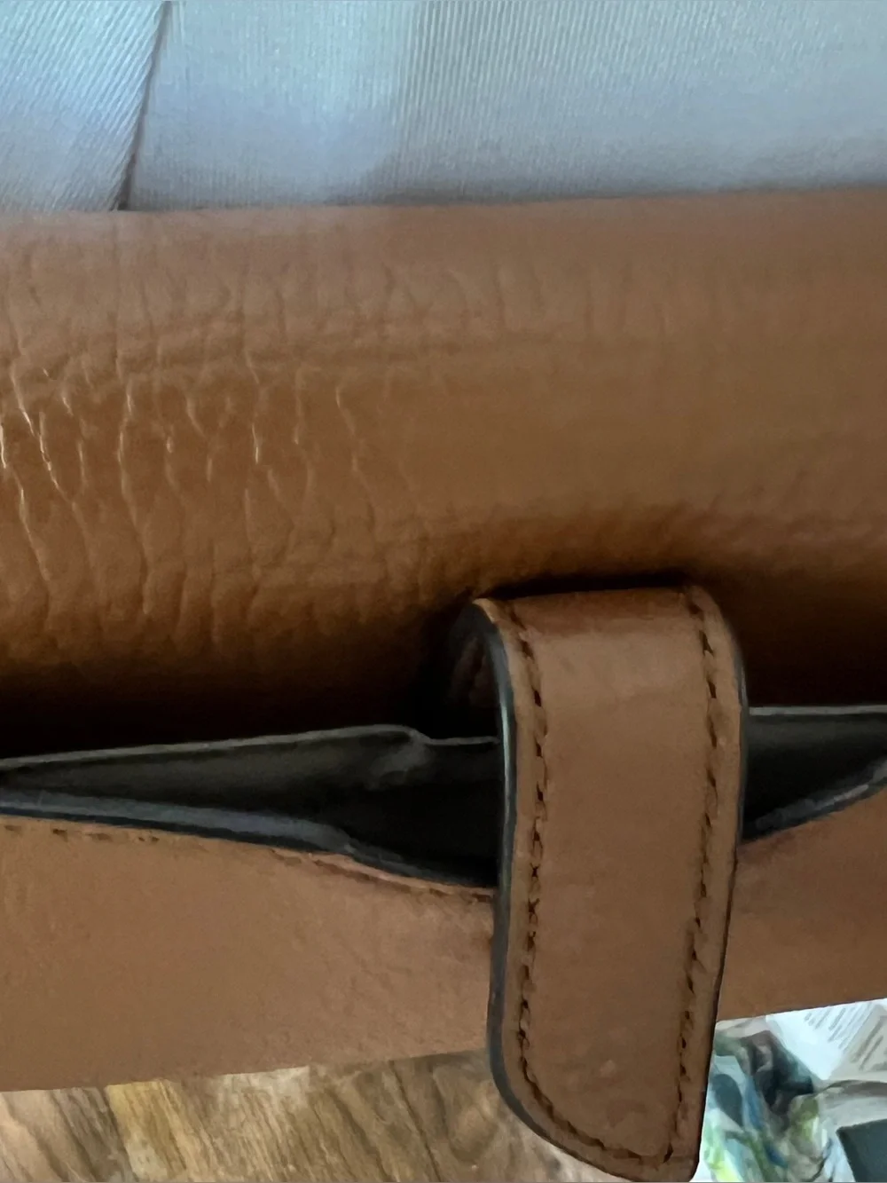 Michael Kors Brown Jet Set Charm Small Phone Crossbody with Gold Hardware